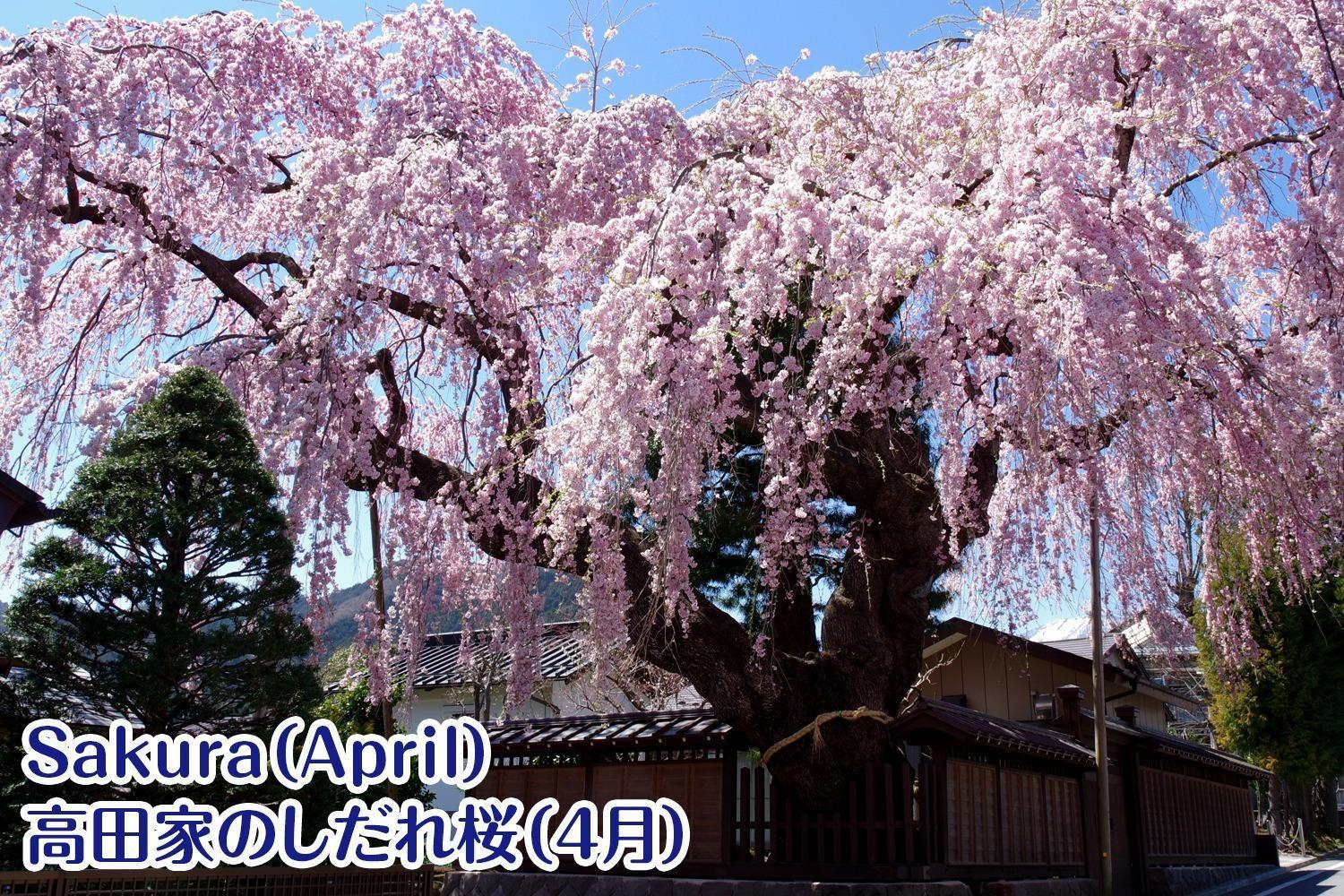 Nikko Stay House Arai - Vacation Stay 14994V Exterior foto